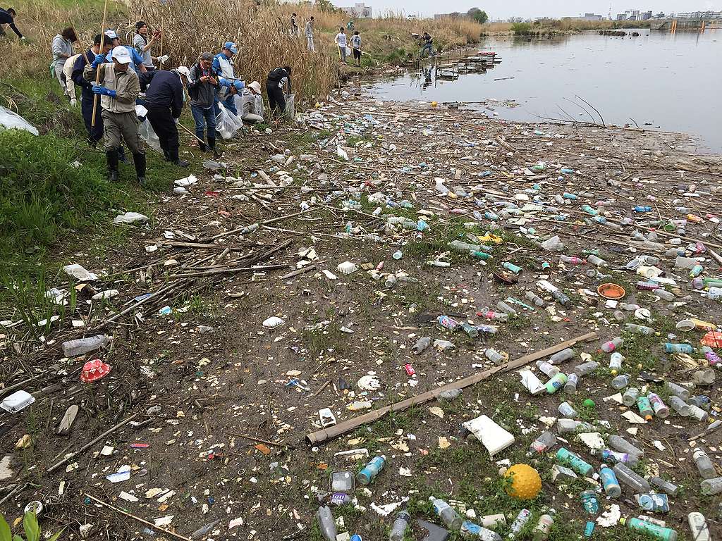 日本淀川滿地塑膠垃圾，粗估有約4,000萬個寶特瓶！