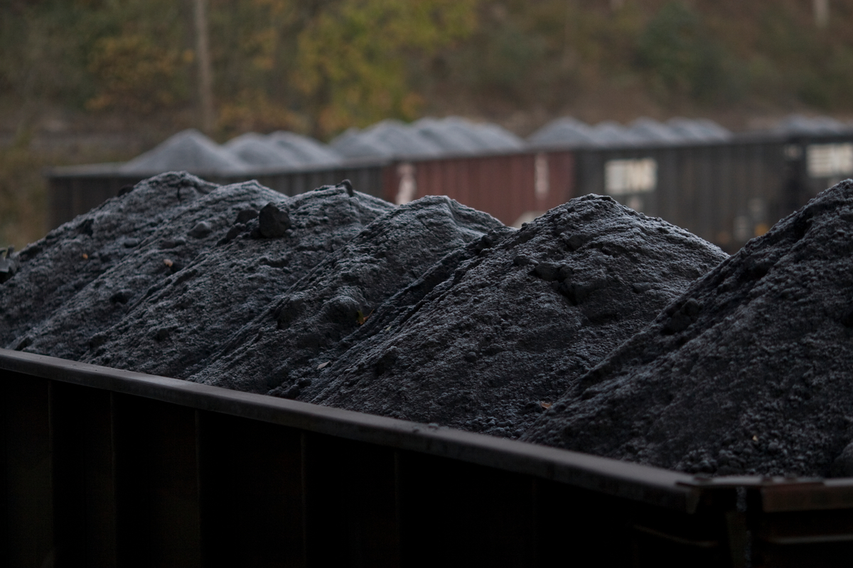 「灰碳」是石油、煤炭、天然氣等化石燃料。