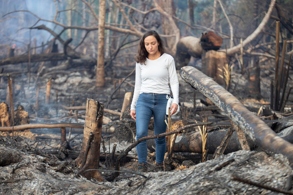 綠色和平巴西辦公室資深森林專案主任Cristiane Mazzetti實地走訪亞馬遜雨林南部的毀林現場，親睹剛被砍伐焚毀的樹木傾倒，森林失去原本的盎然綠意。