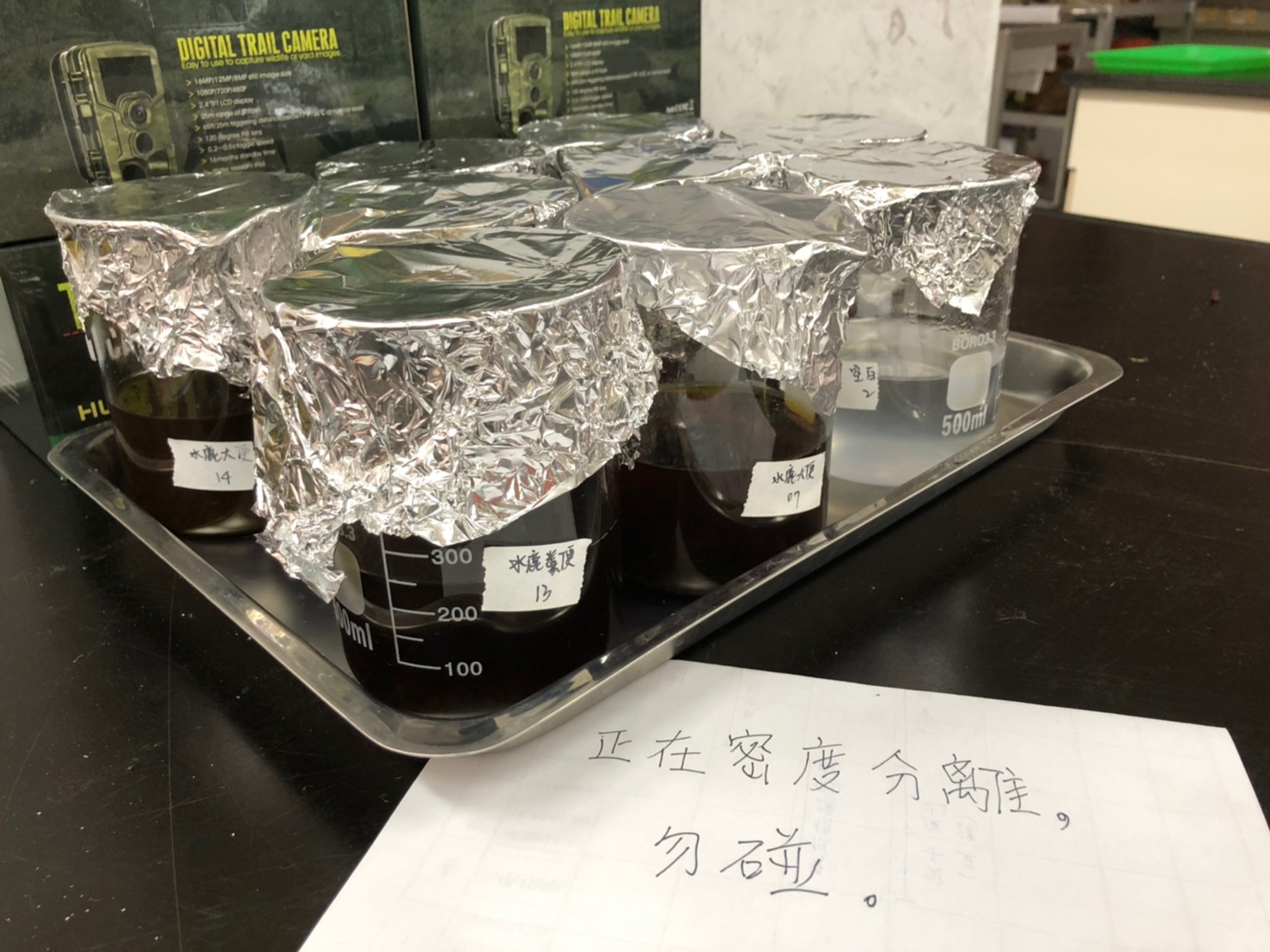 綠色和平採集到的臺灣水鹿排遺樣本,於實驗室進行微塑膠檢測。