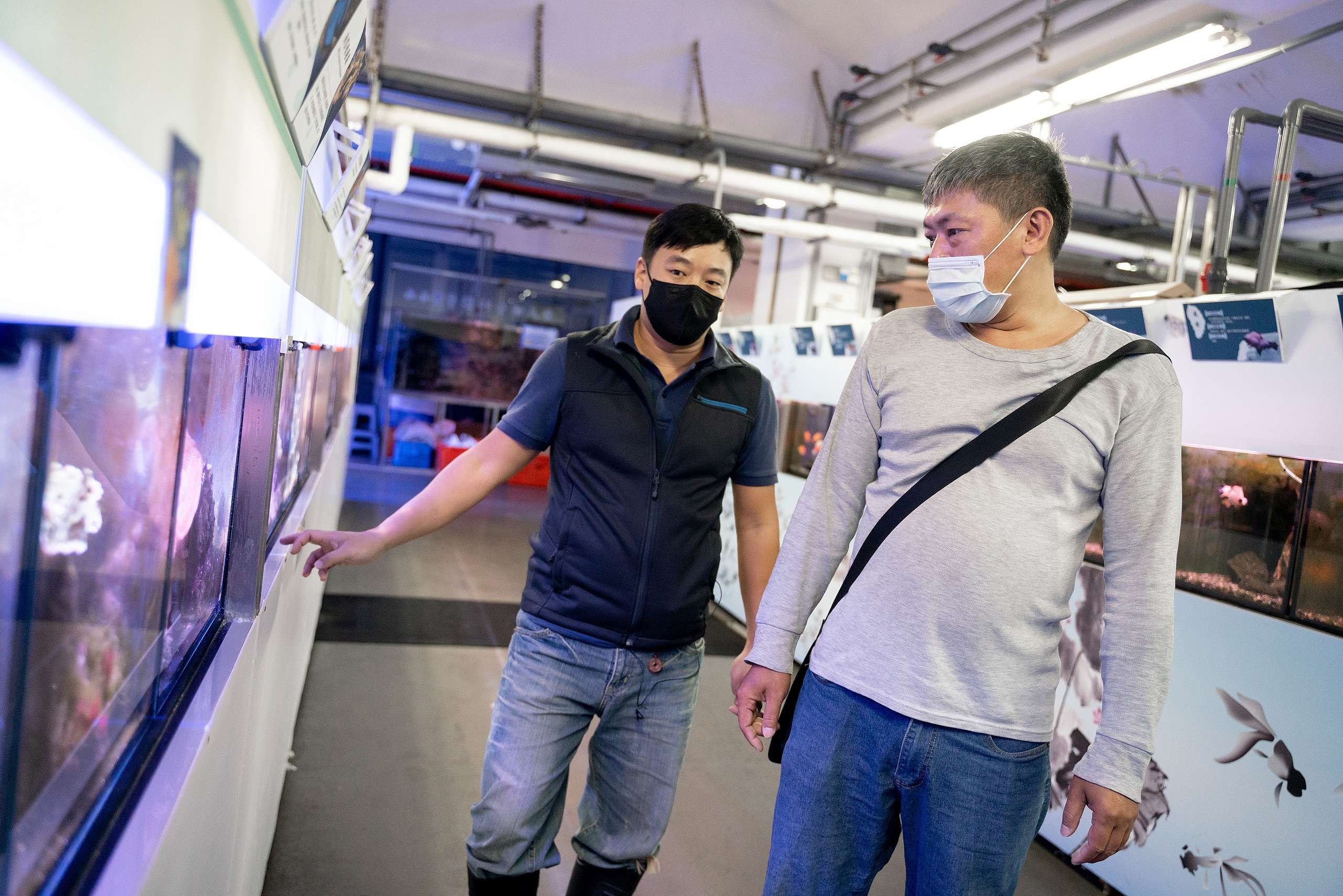 李永泰與學術單位合作,蒐集下雜魚也製作甲殼類標本,交給不同單位研究。