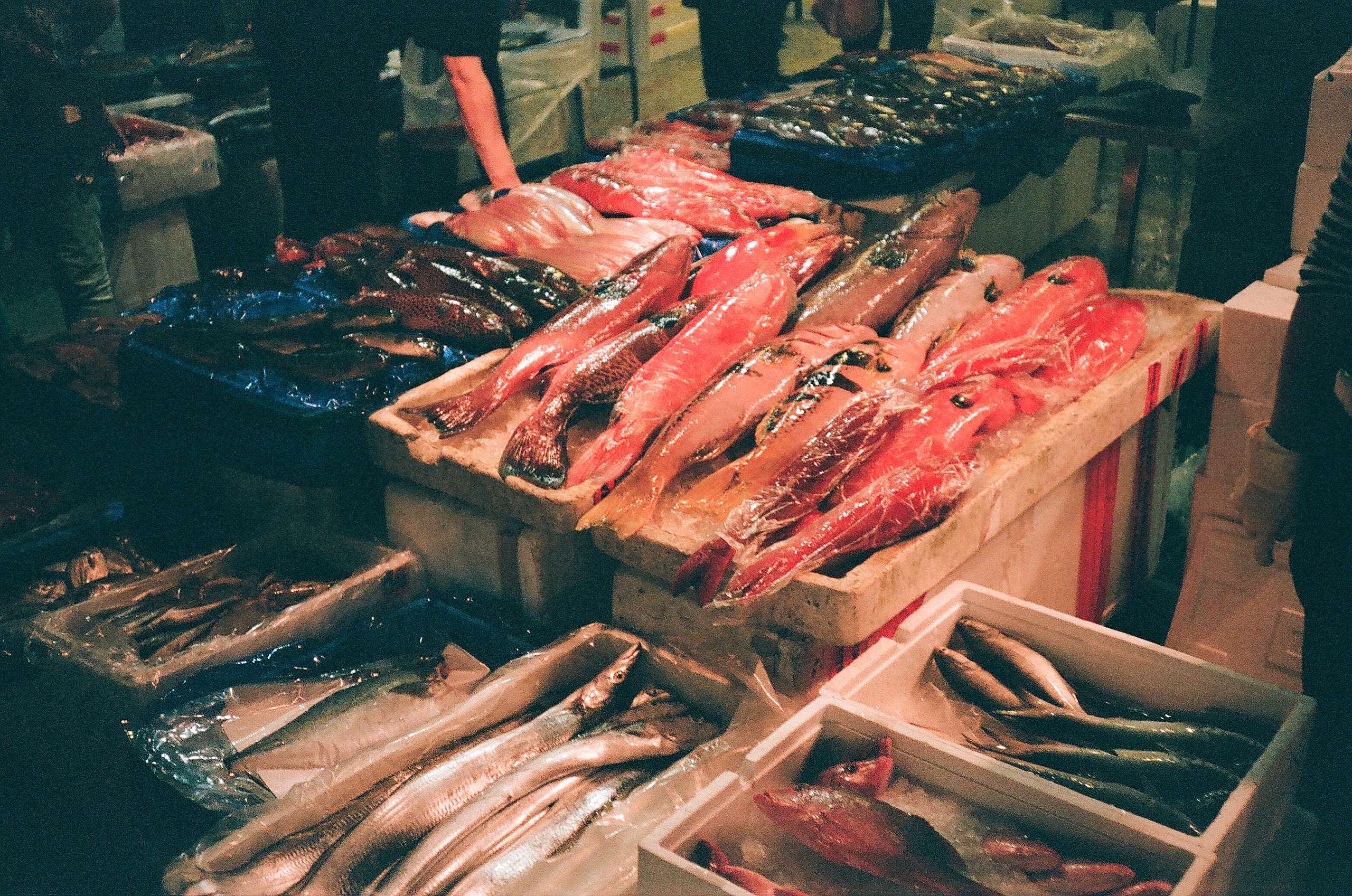 臺灣許多漁港附近的漁貨攤販，是愛吃海鮮的饕客獲取新鮮食材的好所在。但近年來漁貨量大跌，使您我不得不重新審視是否有更永續的選擇。