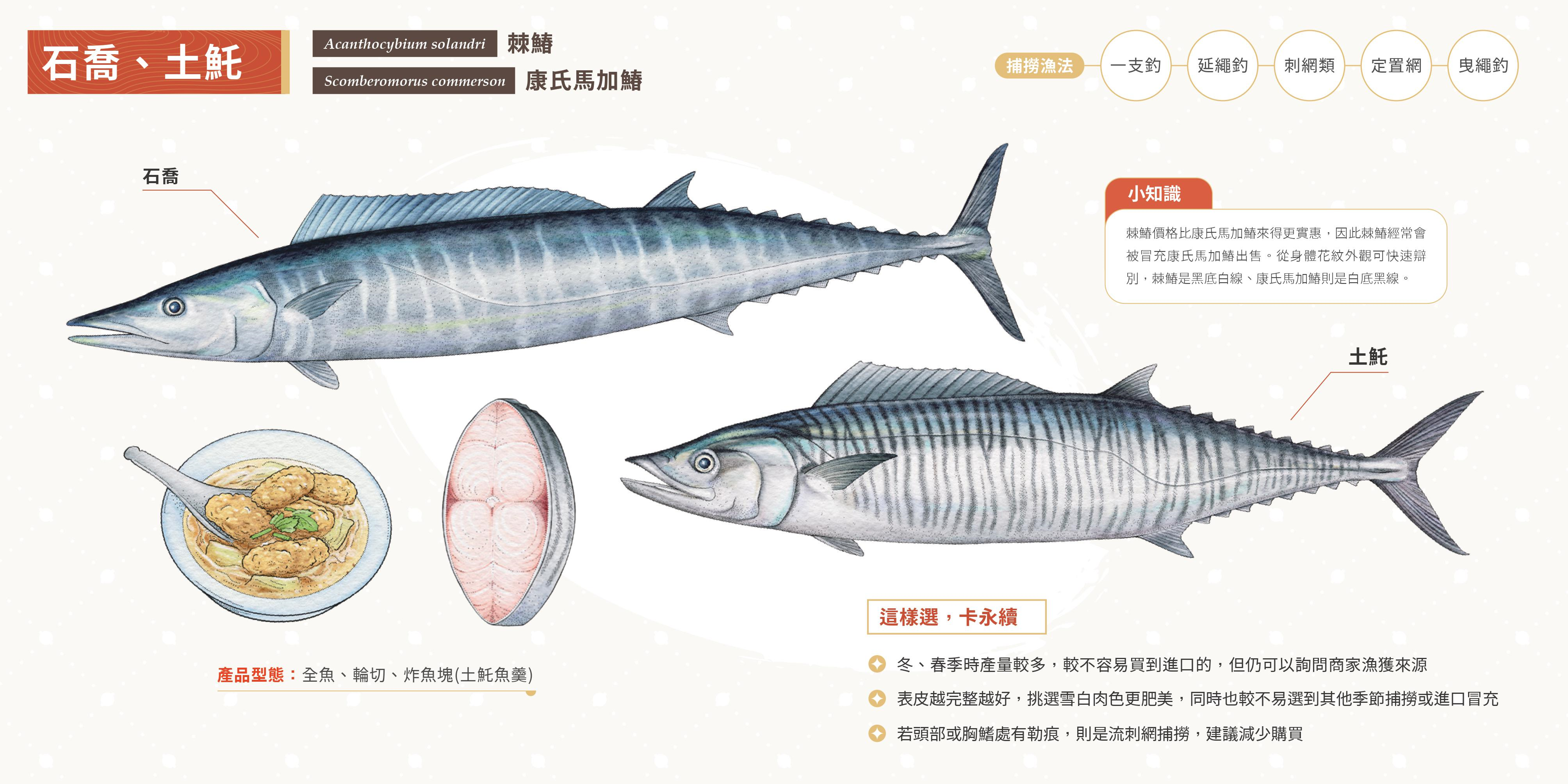 每年農曆春節前夕是土魠魚油脂最肥美的旺季,綠色和平推出的《永續海鮮選購手冊》分享各魚種常見的捕獲方法,解說如何挑選以較友善環境的漁法捕撈的漁獲。