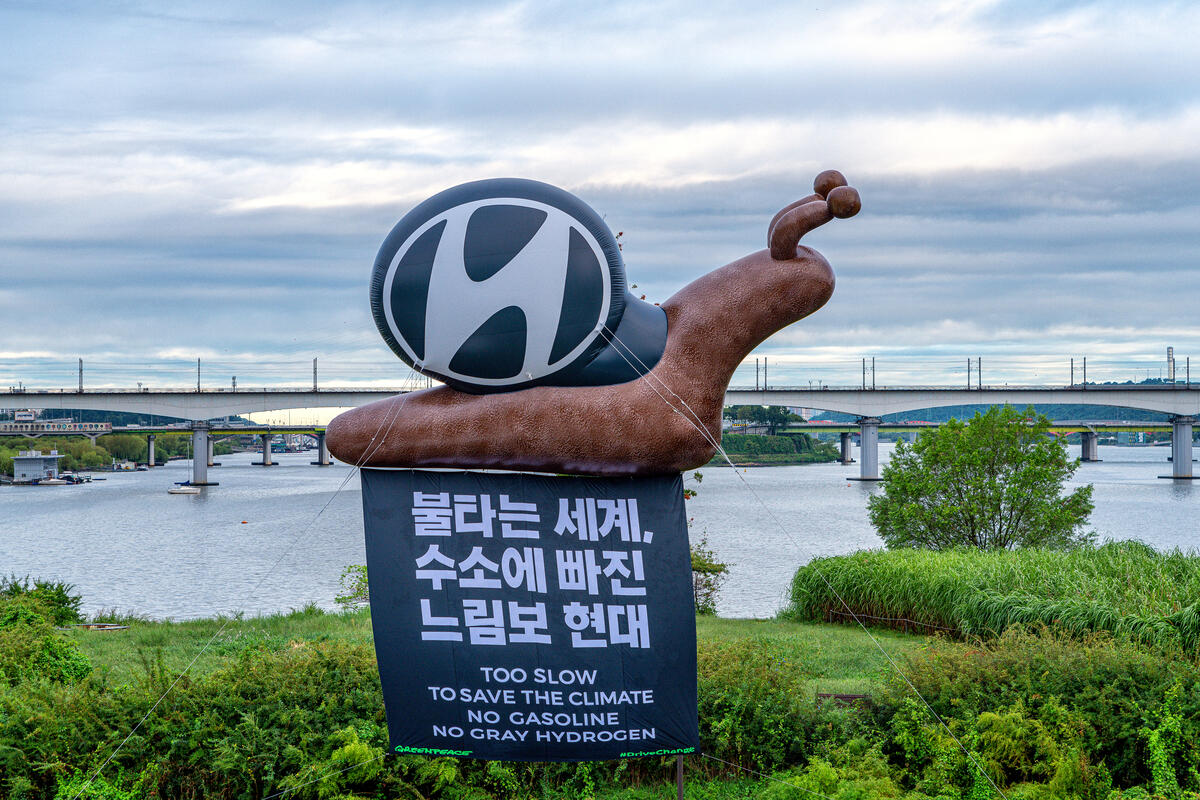 2021年9月,綠色和平韓國辦公室在漢江附近升起巨型蝸牛氣球,促請現代汽車加快減碳步伐。