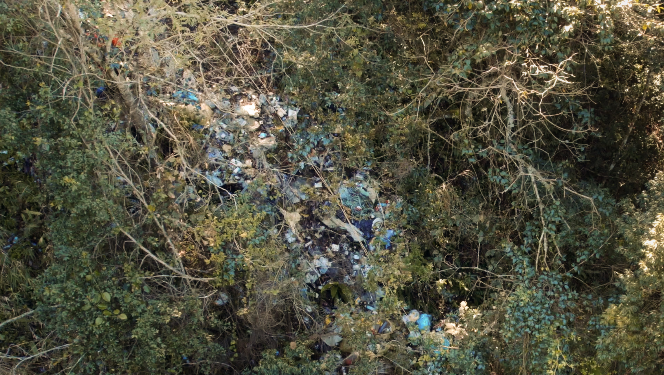 綠色和平於南投縣仁愛鄉台14線87公里處發現垃圾瀑布