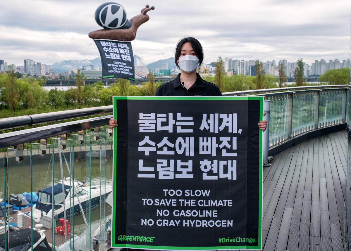 2021年9月，綠色和平韓國行動者在漢江豎立巨型蝸牛氣球，比喻現代汽車在減碳路上過於緩慢。