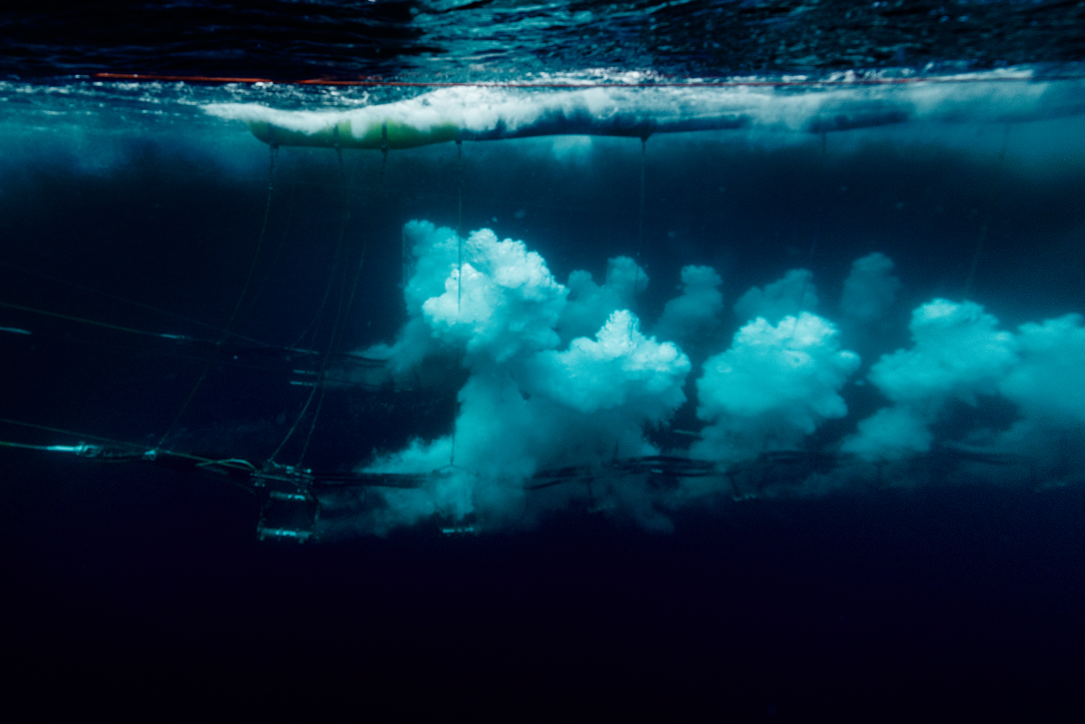 震波探勘（seismic blasting survey）向海床進行259分貝的爆破，以找尋海床底下的石油，這樣的噪音對海面上的人類來說，音量比噴射機起來還大8倍，對海中物種更是產生嚴重影響。
