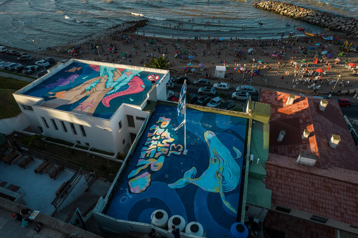 挪威國家石油公司獲得阿根廷當局批准，於阿根廷海進行震波爆破探勘，為了阻止企業破壞海洋，綠色和平與在地團體和藝術家合作，在海邊建築的屋頂上作畫，表達倡議訴求。