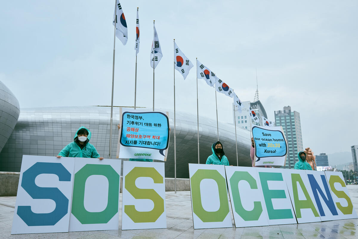 2021年5月，綠色和平韓國行動者在東大門設計廣場，向韓國政府表達「2030年保護至少30%海洋」的訴求。