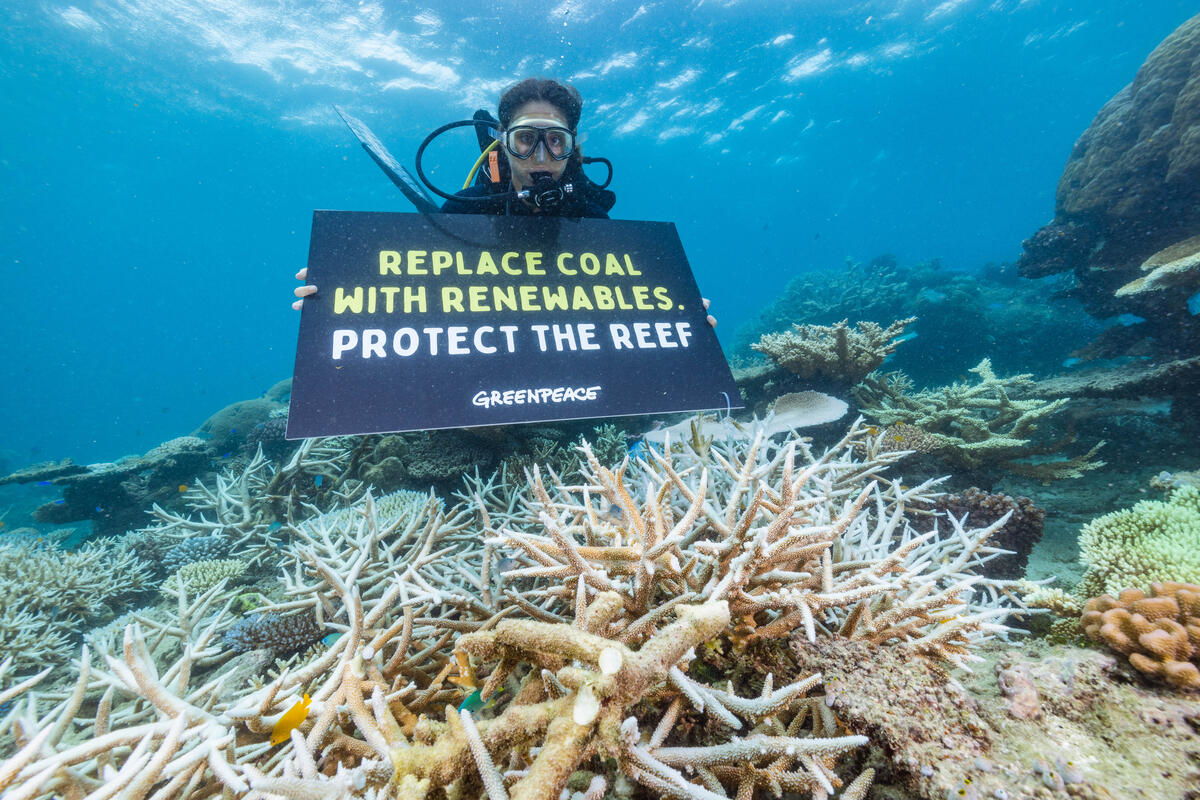 綠色和平行動者手持寫著「以再生能源取代煤炭，拯救珊瑚礁」的標語，向澳洲政府疾呼積極淘汰化石燃料。