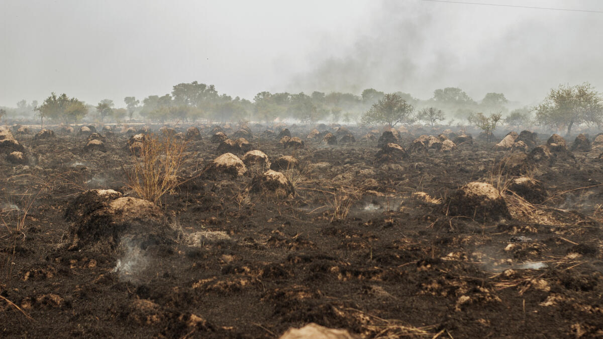 阿根廷科連特斯省（Corrientes）因反聖嬰現象連續兩年經歷嚴重乾旱，使森林大火一發不可收拾。