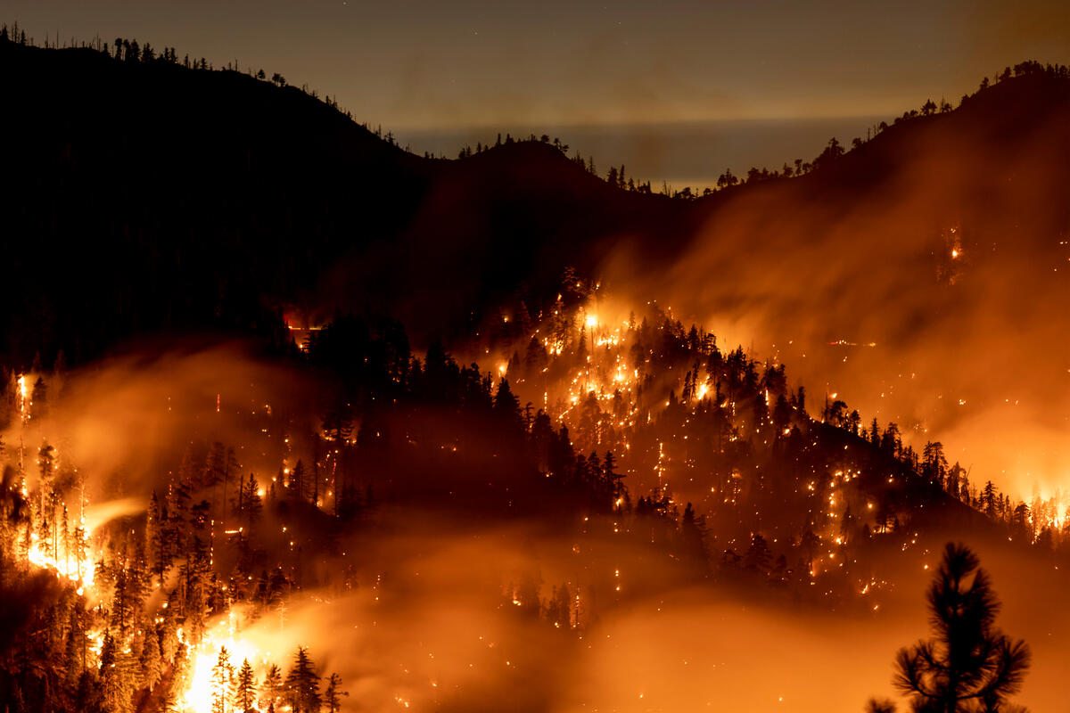 2020年，美國加州森林大火突破歷史紀錄，火勢長達75天，面積超過3.15萬公頃土地，焚毀大部分的洛杉磯國家森林（the Angeles National Forest）。