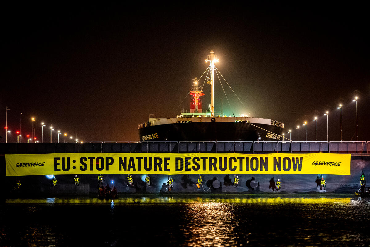 2022年5月11日，60多名來自16國的綠色和平行動者封鎖阿姆斯特丹港口18小時，要求歐盟制定強而有力的《反毀林法案》，立即停止破壞自然森林。
