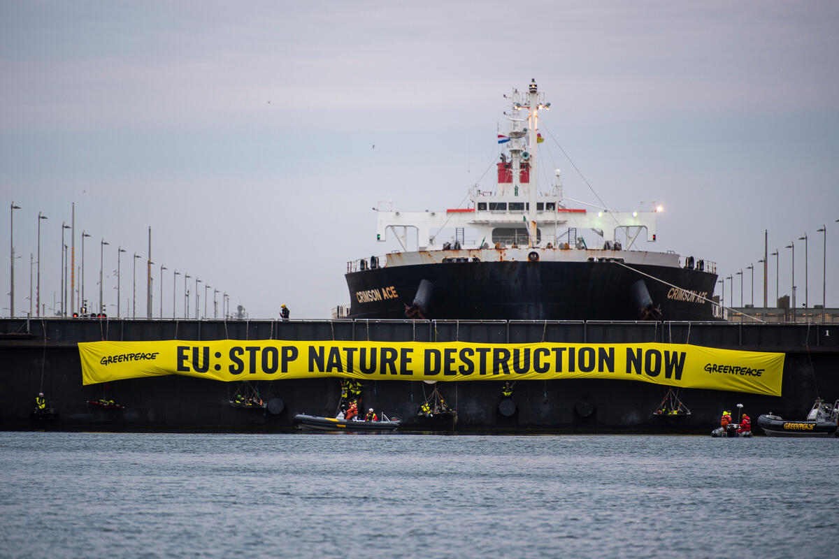 綠色和平60位行動者，在荷蘭艾默伊登船閘（IJmuiden lock）堵截大豆貨輪，要求歐盟訂立有力的反毀林新法，橫額道出：「歐盟：馬上停止破壞大自然」。