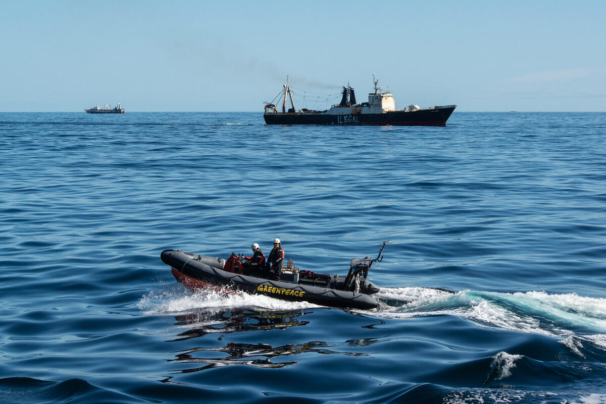 2022年7月4日，綠色和平行動者直擊底拖網漁船在阿根廷專屬經濟海區外的藍洞捕魚，在船身漆上「非法」，並記錄影像為推動《全球海洋公約》提供證據。