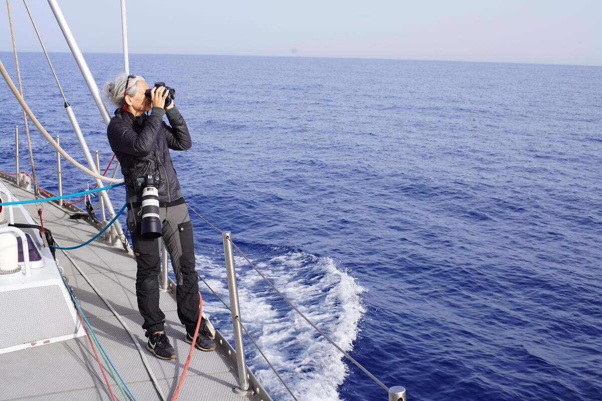 海洋科學家Kirsten Thompson與綠色和平團隊搭乘船艦「見證者號」,於地中海進行鯨豚聲學調查,蒐集鯨豚會在該區域出沒的證據,阻止以色列政府核准建置天然氣探測平臺。