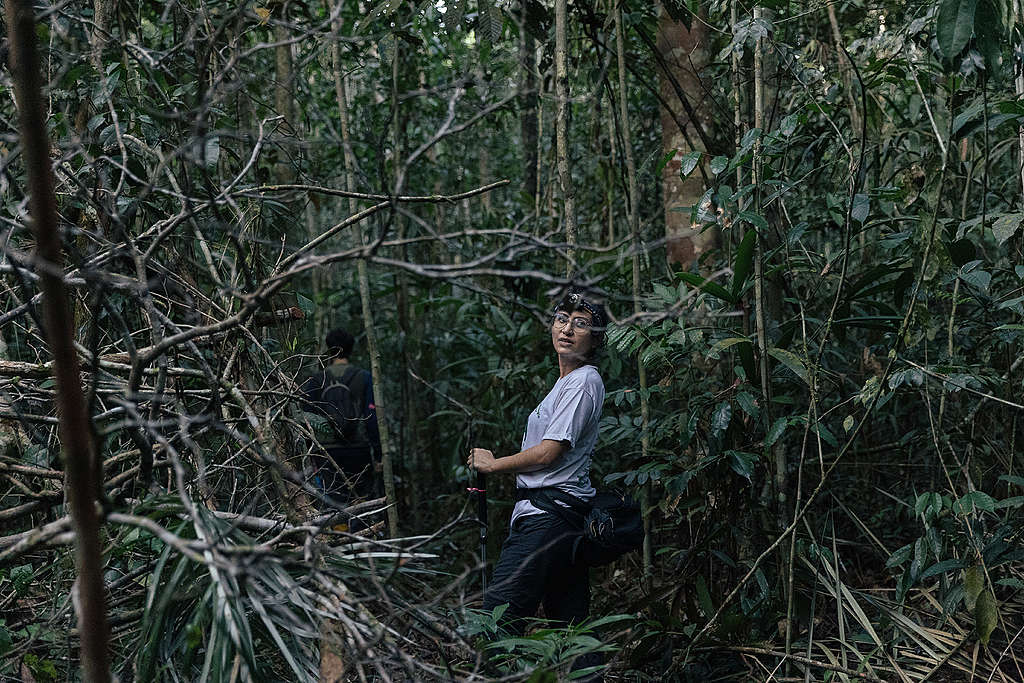 生物學家Raíssa Rainha表示，能夠回到森林繼續收集數據，是件幸運的事。