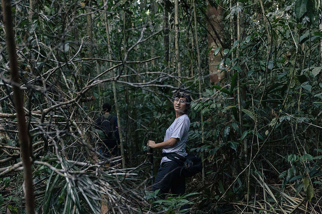 生物學家Raíssa Rainha表示,能夠回到森林繼續收集數據,是件幸運的事。