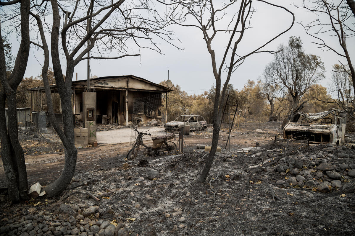 近年來，歐洲各地頻繁遭遇熱浪襲擊。2021年引發希臘埃維亞島（Evia）的森林火災，大火延燒近10天，數千公頃森林被燒毀。