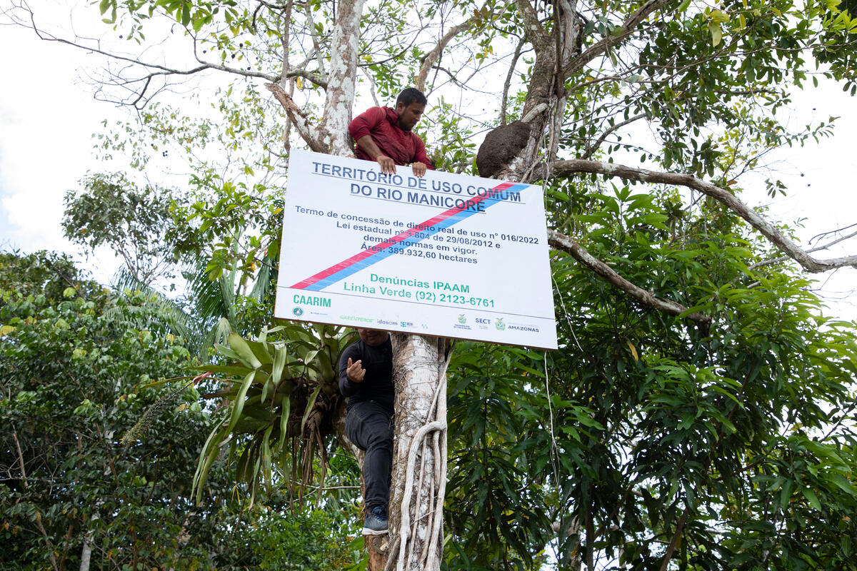 綠色和平協助馬尼科雷河濱社區的居民設置標誌，以利識別保護區所覆蓋的土地。