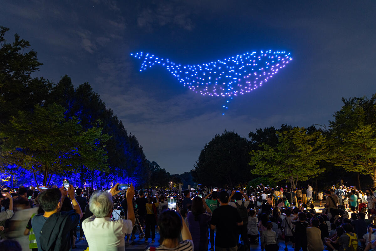 2022年8月，綠色和平於首爾森林公園上空進行「繡海」行動，300架無人機在空中排列變幻成鯨魚、海龜、企鵝等海洋生物的圖像，凸顯海洋保護的迫切需求。