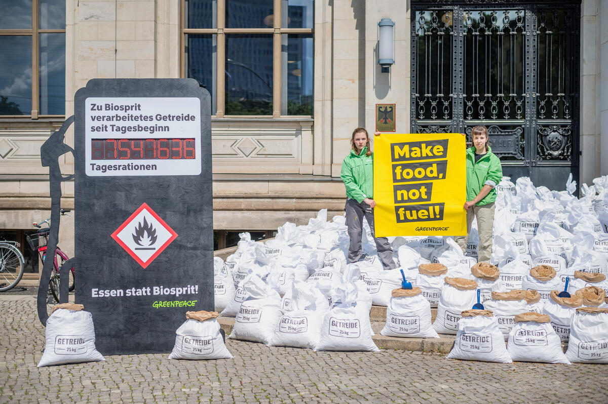 2022年6月，綠色和平行動者在柏林的聯邦政府交通部前表達訴求。182袋25公斤的小麥代表德國每分鐘用於燃料的穀物量。行動者手持標語寫著：「製造食物，不是燃料！」。