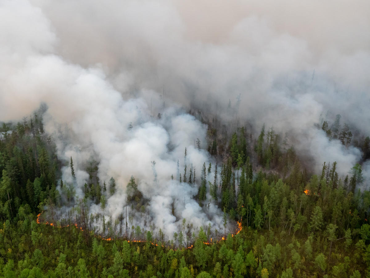 2019年，俄羅斯境內高達90%的森林火災發生於「控制區」內，由於幅員廣大、消防經費缺乏，政府任由大火焚燒控制區內的林地，加劇氣候危機。
