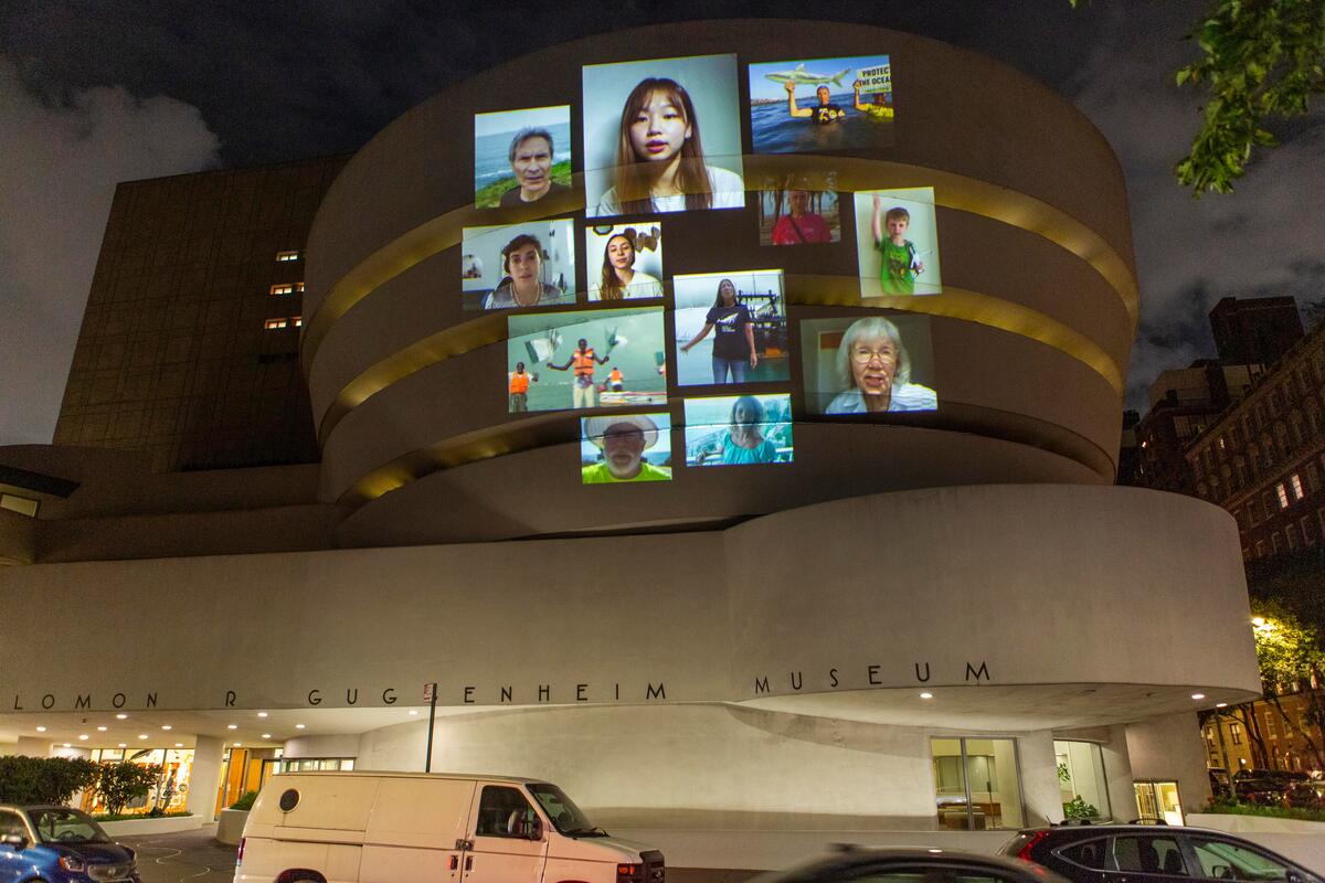 2022年8月21日，綠色和平行動者於紐約著名地標古根漢博物館（Guggenheim Museum），將全球海洋守護者的訴求影片投放至建築外牆，傳達來自超過500萬公眾的聲音。