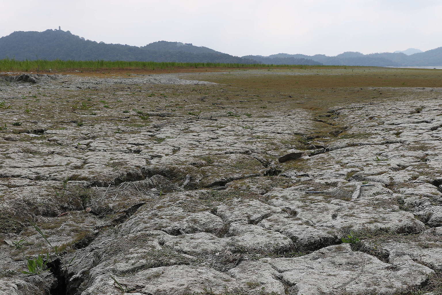 2021年上半年，臺灣經歷大旱，造成全臺停灌補助近新臺幣70億元，水情亮紅燈。圖為連日缺水導致乾枯的日月潭。
