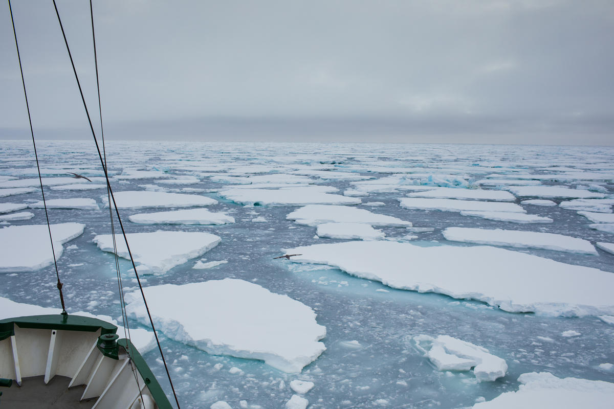 2019年，綠色和平船艦「極地曙光號」於北極完成海冰研究，途中航經佛拉姆海峽（Fram Strait）。