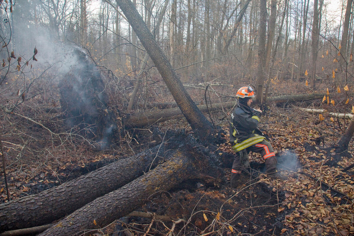 綠色和平俄羅斯辦公室森林消防專案負責人Grigory Kuksin，正在測量泥炭火災的溫度。