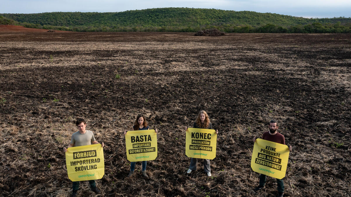 2022年9月，綠色和平行動者深入亞馬遜流域，目睹除了亞馬遜雨林遭破壞，鄰近的塞拉多草原及潘塔納爾濕地同樣因工業化農業，身陷險境。
