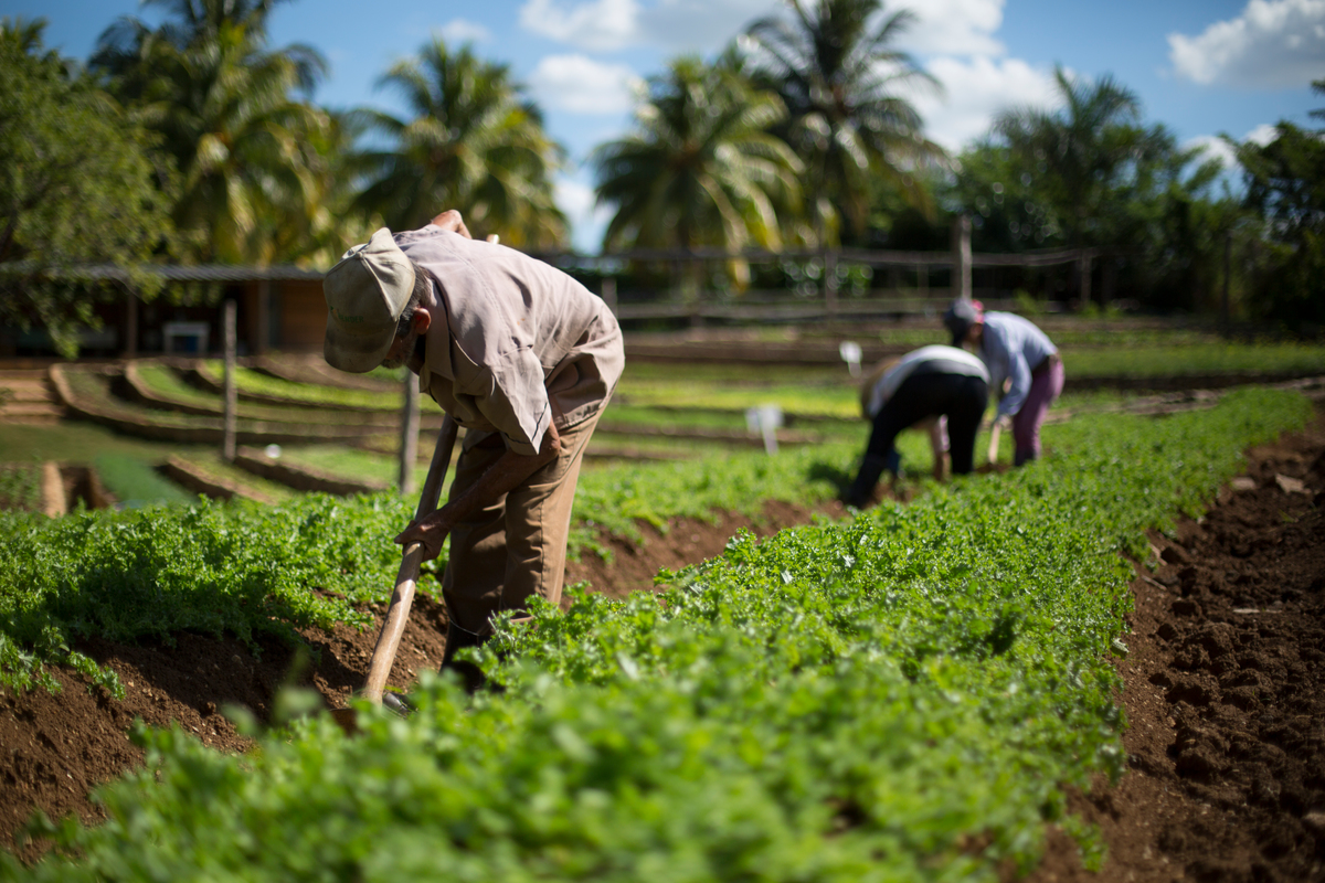 為農人提供友善生態農法的培訓與補助，是改善糧食系統與土地退化的措施之一。
