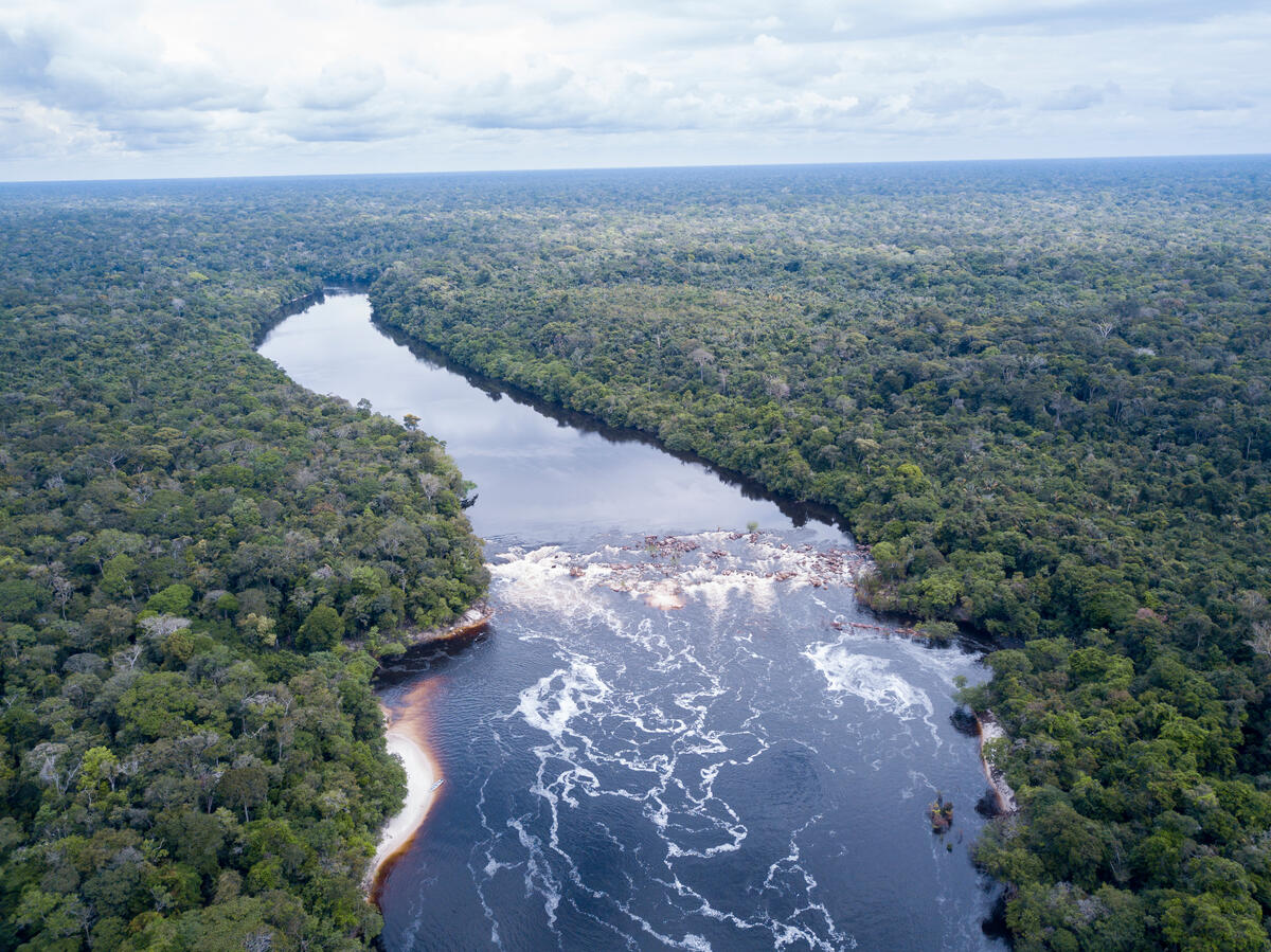 亞馬遜生態考察之旅所取得的研究數據，將做為守護森林相關倡議的重要依據。
