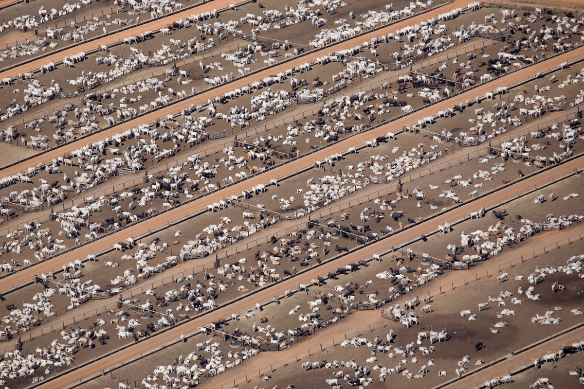 動物的排泄物、飼料和肥料都會對空氣、水和土地帶來污染。特別是密集飼養數萬隻牲畜大型牧場，產生的污染量相當驚人。