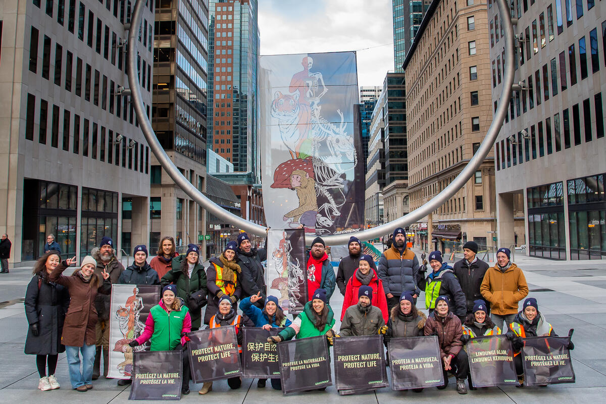 2022年12月8日，聯合國生物多樣性大會（COP15）開幕之際，綠色和平加拿大行動者在蒙特婁的L'Anneau裝置藝術前，以長約14公尺的圖畫和多國標語，呼籲與會領袖制定足以保護自然和原住民權利的協議。