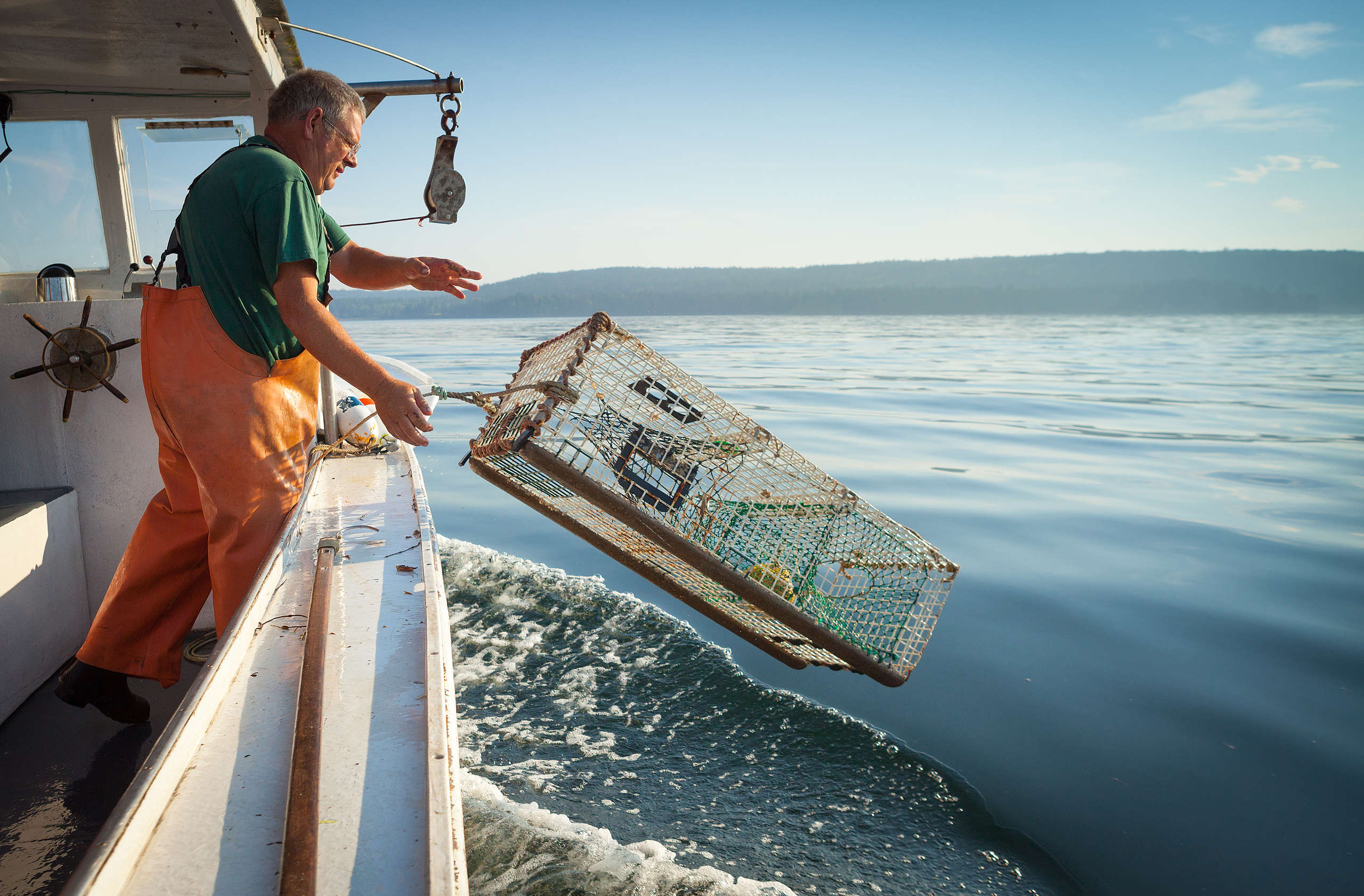 龍蝦漁民在美國緬因州設置數百萬個捕蝦籠，對瀕危北大西洋露脊鯨及其他海洋生物構成威脅。
