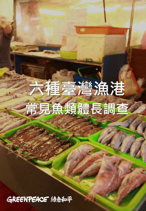 《六種臺灣漁港常見魚類體長調查》報告