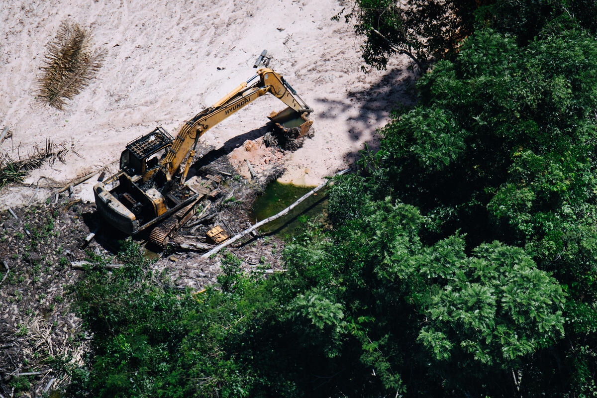 2023年3月22日至23日，綠色和平巴西辦公室團隊在亞馬遜Munduruku和Kayapó原住民土地，展開兩次飛航行動，調查將液壓挖土機用於非法採礦的影響，並實地見證非法採礦對當地造成的破壞。照片中可看見挖土機是由韓國「現代企業」（Hyundai）製造。