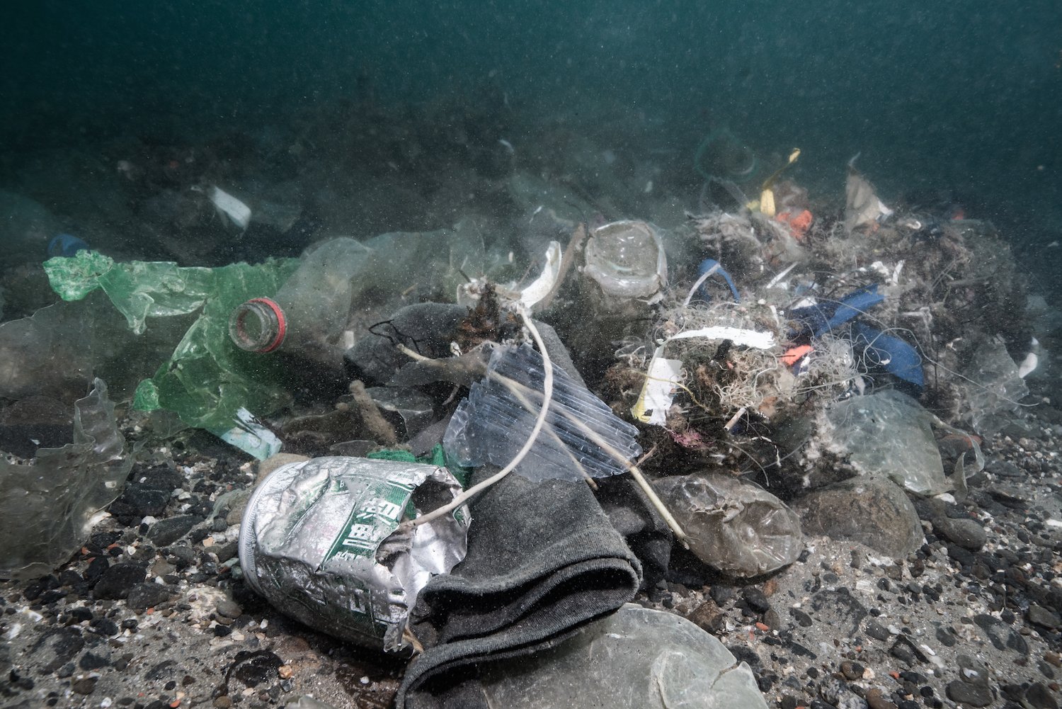 2021年9月世界清潔日，綠色和平邀集56位志工，在基隆海域進行水下淨海，總計清出422公斤海底垃圾，其中以漁具、寶特瓶等佔多數。