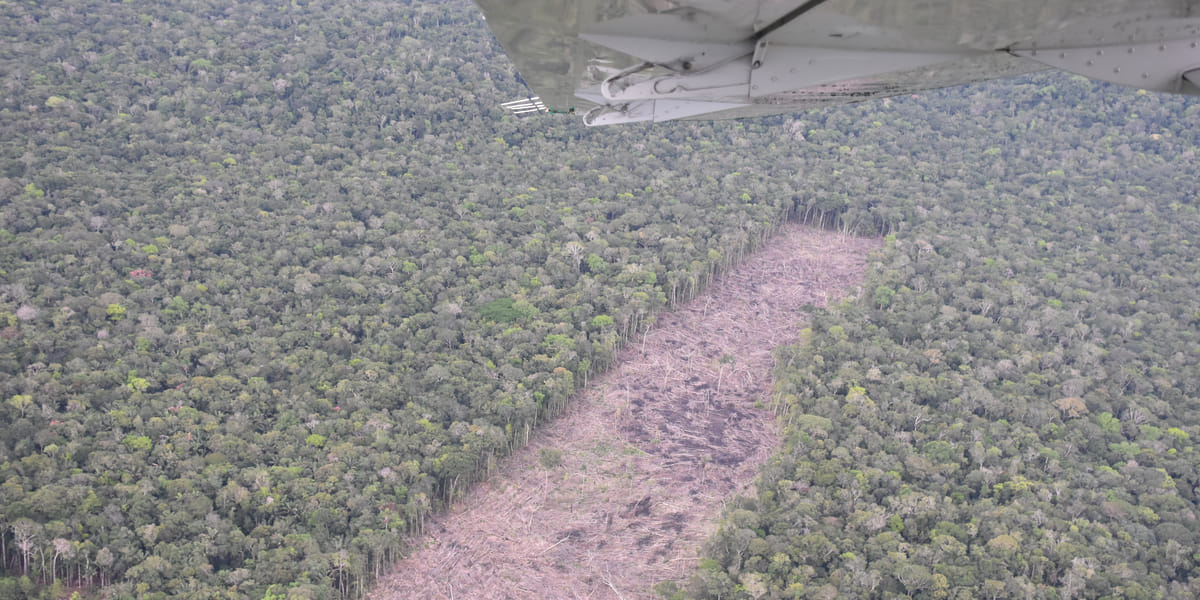從空中俯瞰亞馬遜雨林，不時在一片翠綠看到被清空的土地。這些被摧毀的林地，日後將供農業、畜牧業或採礦業者使用。
