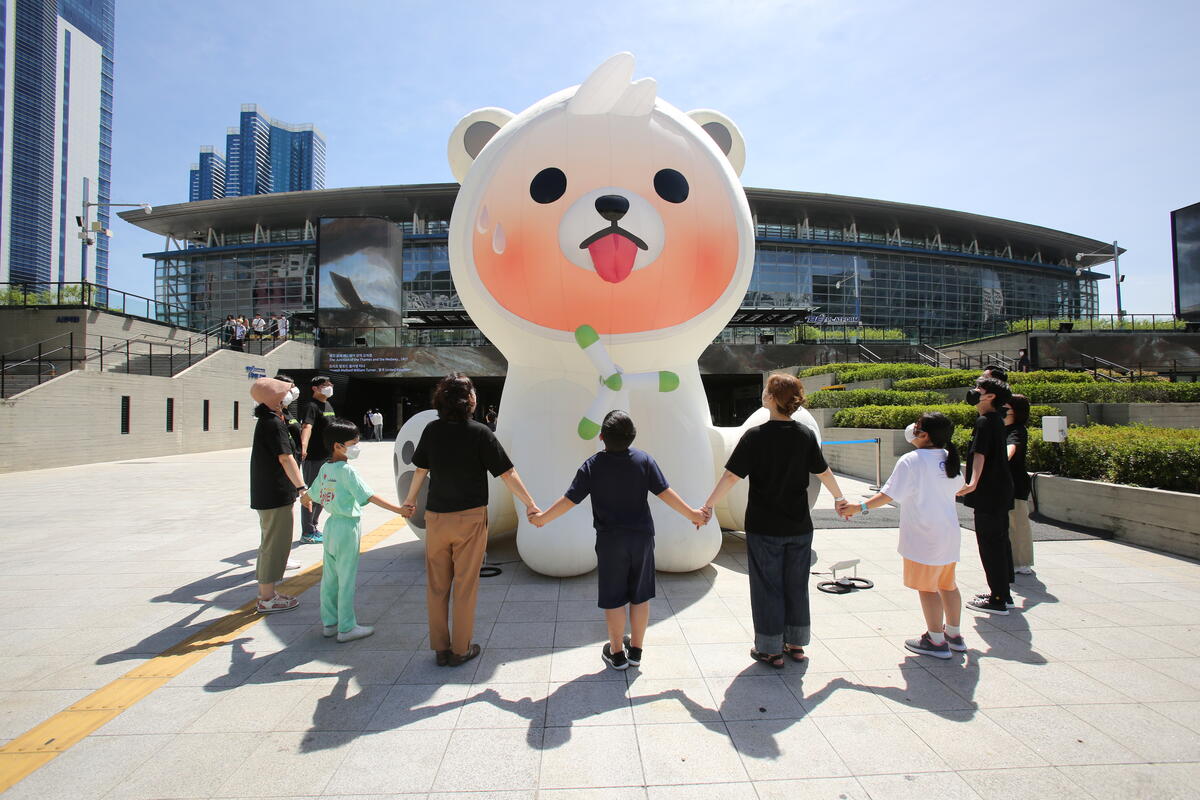 Renewable Energy Action with the "Angry Bear" in Seoul. © Greenpeace / Yeo-sun Park