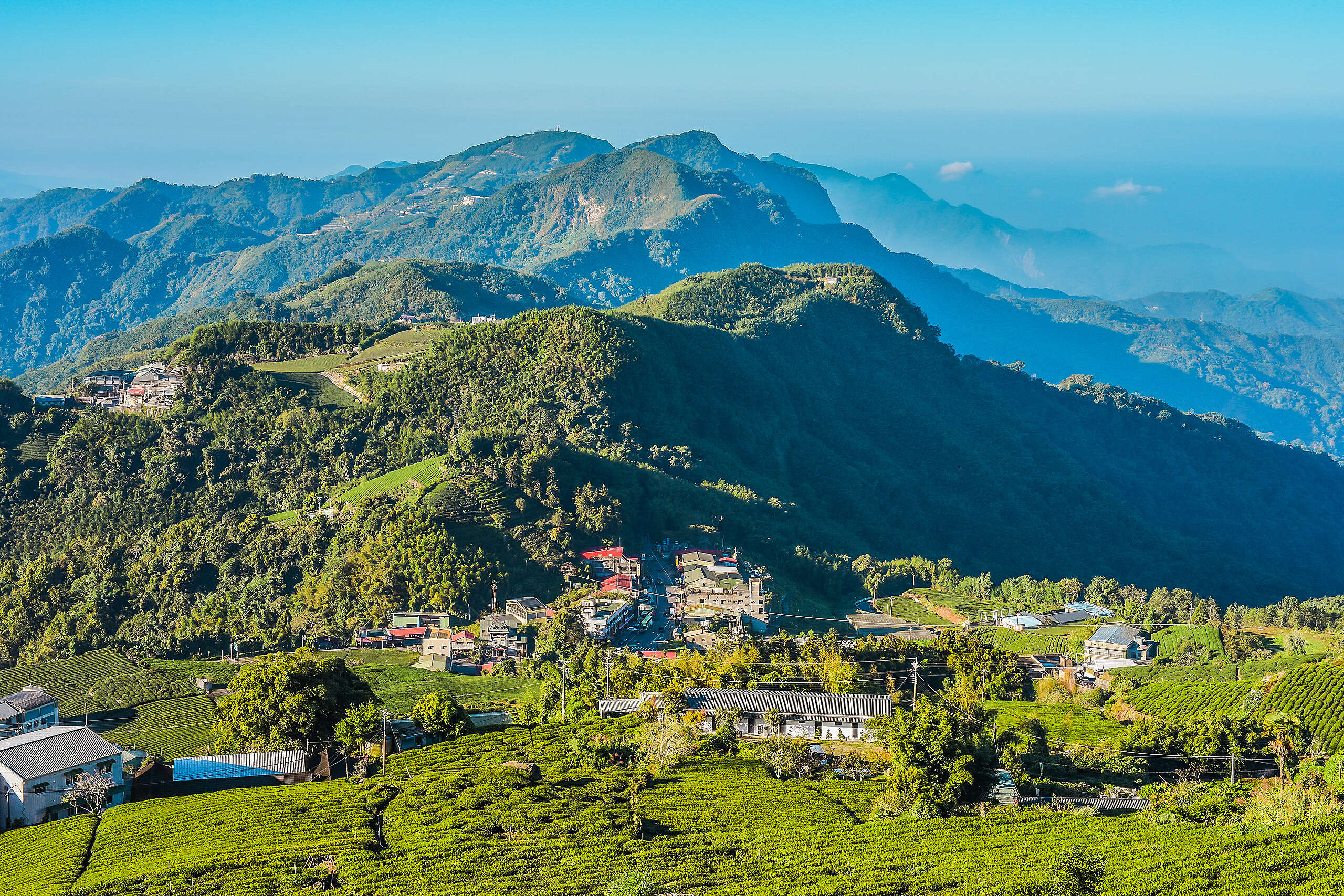 林相豐富的阿里山是鄒族原住民的主要居住地之一，鄒族人世代居住於此，與自然環境緊密相連，發展出獨有的文化。然而近 30 年來氣候變遷持續加劇，卻使鄒族傳統文化備受衝擊。