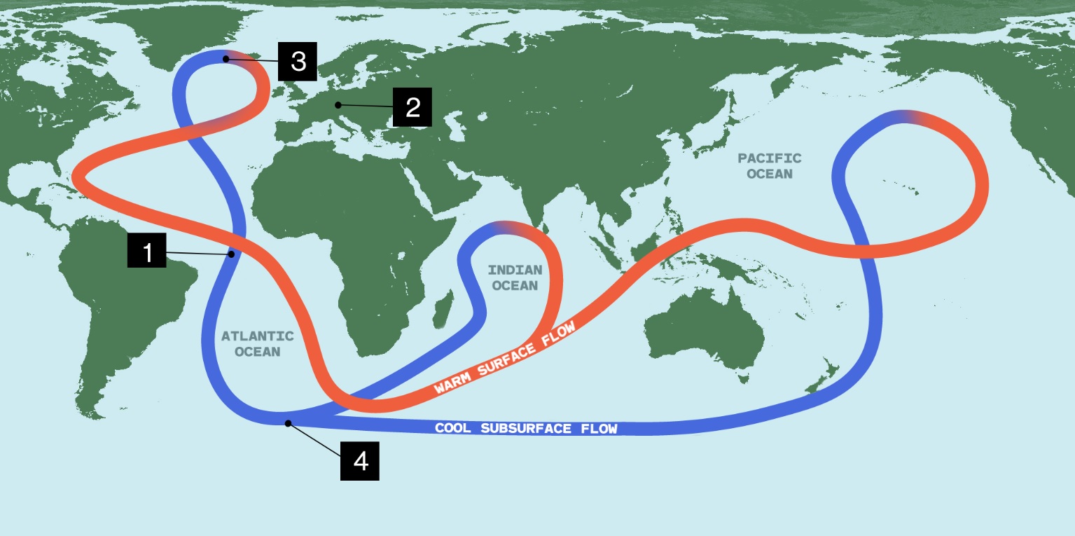 在正常的情況下，（1）大西洋經向翻轉環流將熱帶地區表層較溫暖海水帶至北大西洋。（2）暖流會使周圍的空氣和土地變暖，為西歐帶來溫和的氣候。（3）海水在接近北極時變得更冷、鹽度更高，密度增大，因此沉降至海洋深處，驅動海水向低處流動。（4）涼爽的深層水流則流回至大西洋的深處。