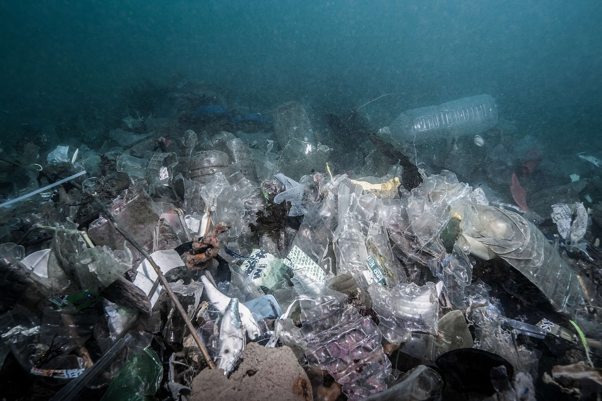 2021年9月世界清潔日，葉凱平與其他潛水志工共清出 422 公斤的海底廢棄物，眼見海洋保護區竟然有這麼多垃圾，讓他相當震驚。
