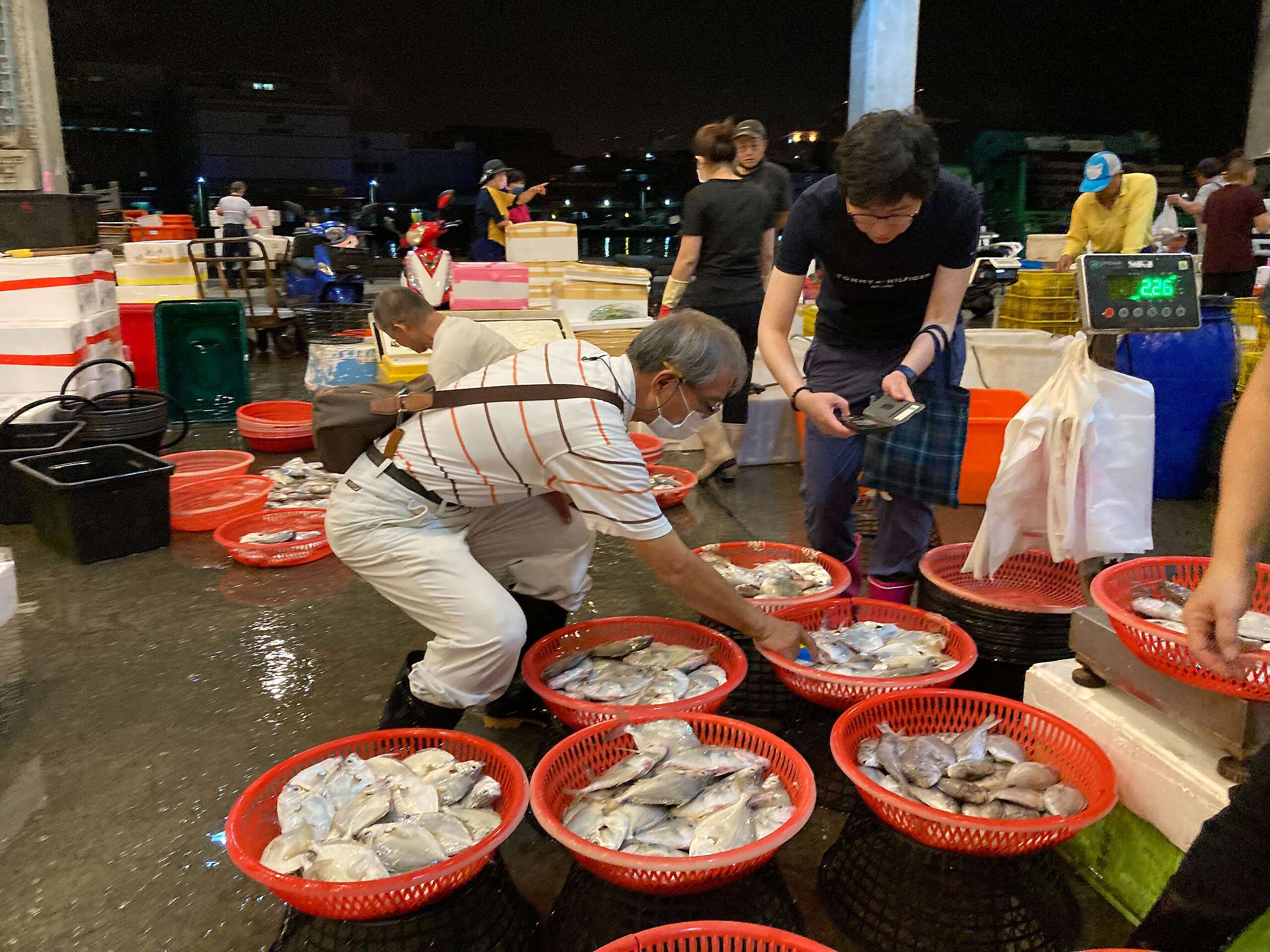 江巍在假日抽空到臺灣的漁港進行魚類調查,即使退休了也熱衷於學習新知。