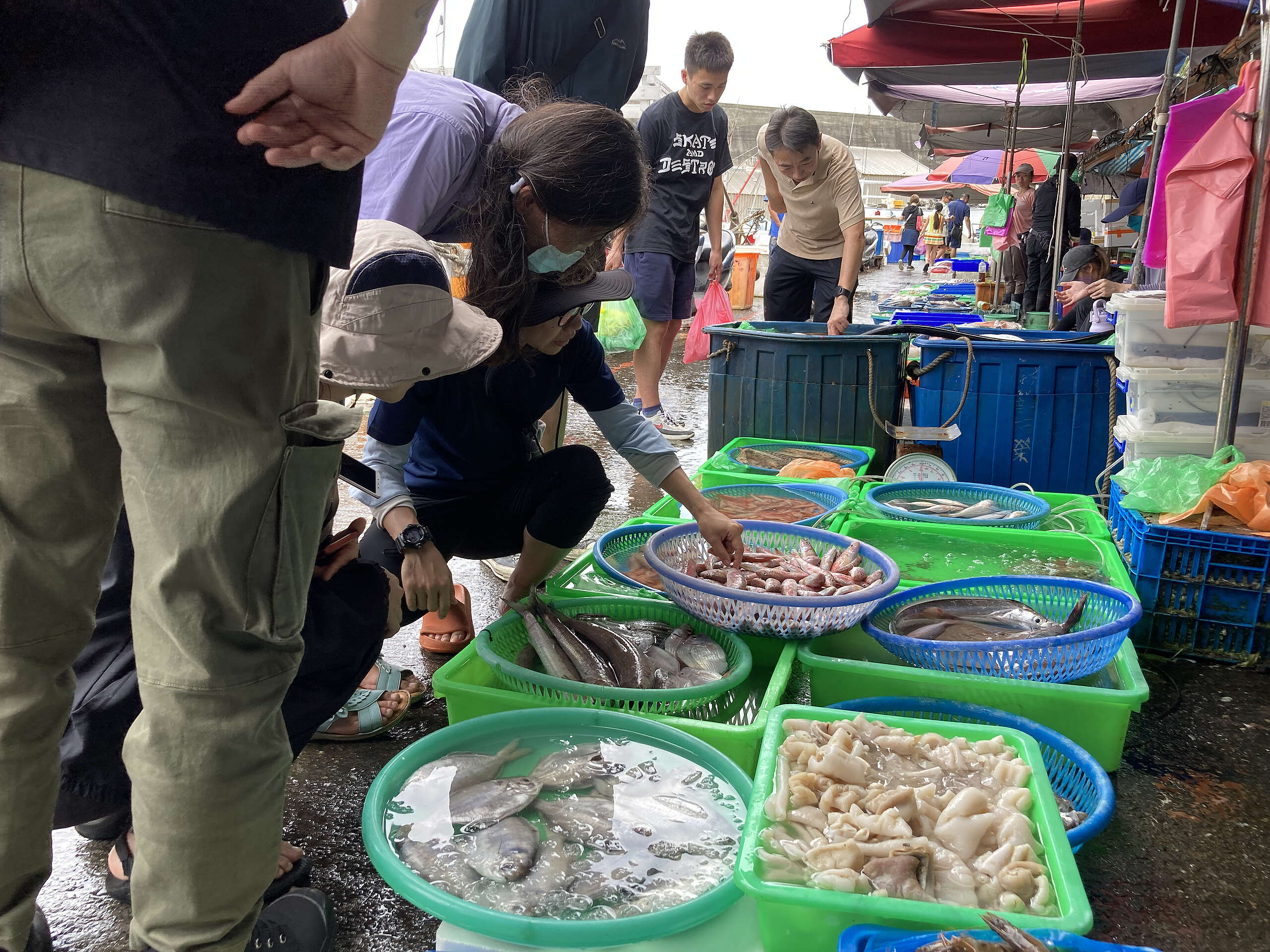 2023年8月5日，綠色和平公眾動員團隊舉辦了「魚類調查工作坊」，在宜蘭大溪漁港帶領志工們學習辨別魚種的方法。