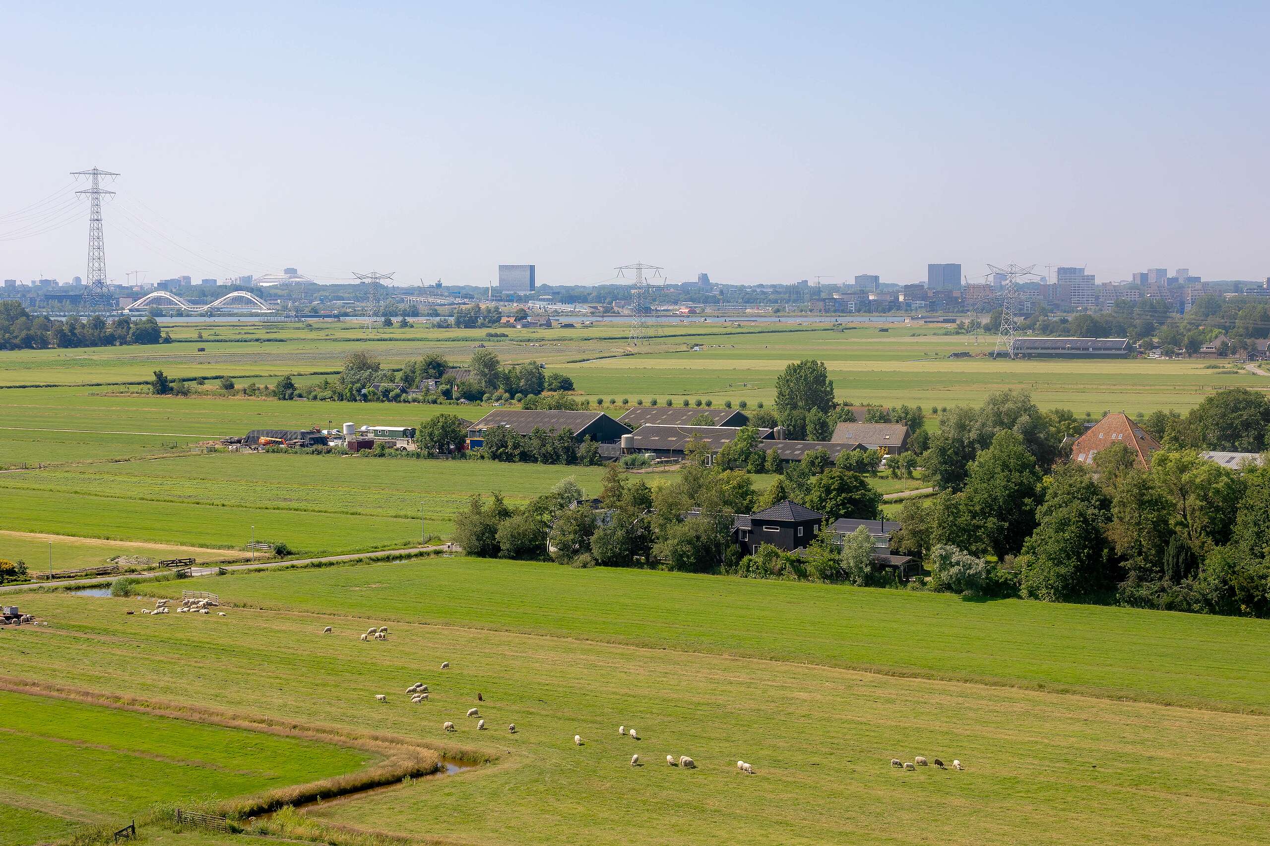 荷蘭國土雖小，卻是全球第二大糧食出口國，超過一半的土地用於農業，農地生產極具效率。
