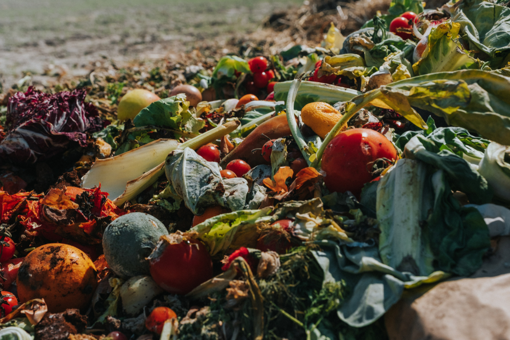 每年有一千萬噸的作物未採收便被丟棄，有三分之一的糧食遭浪費。