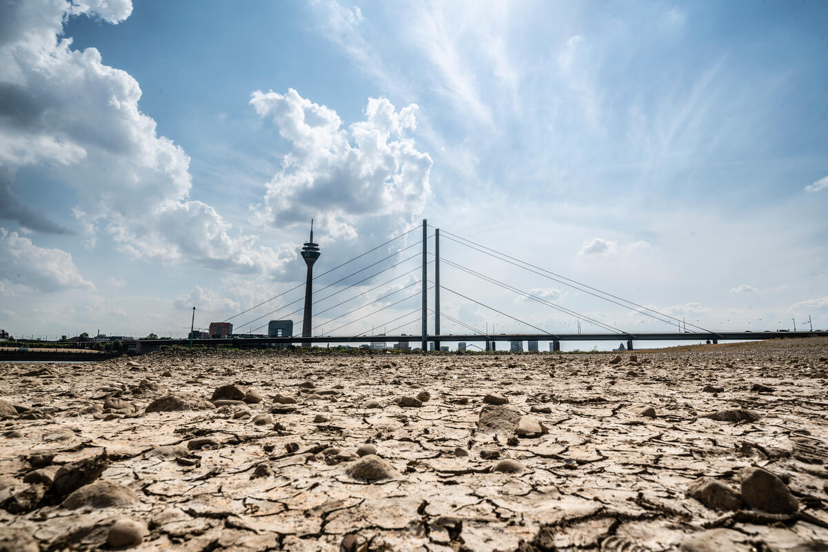 2022年8月，德國萊茵河遭逢嚴重乾旱，水位大幅下降露出龜裂河床。